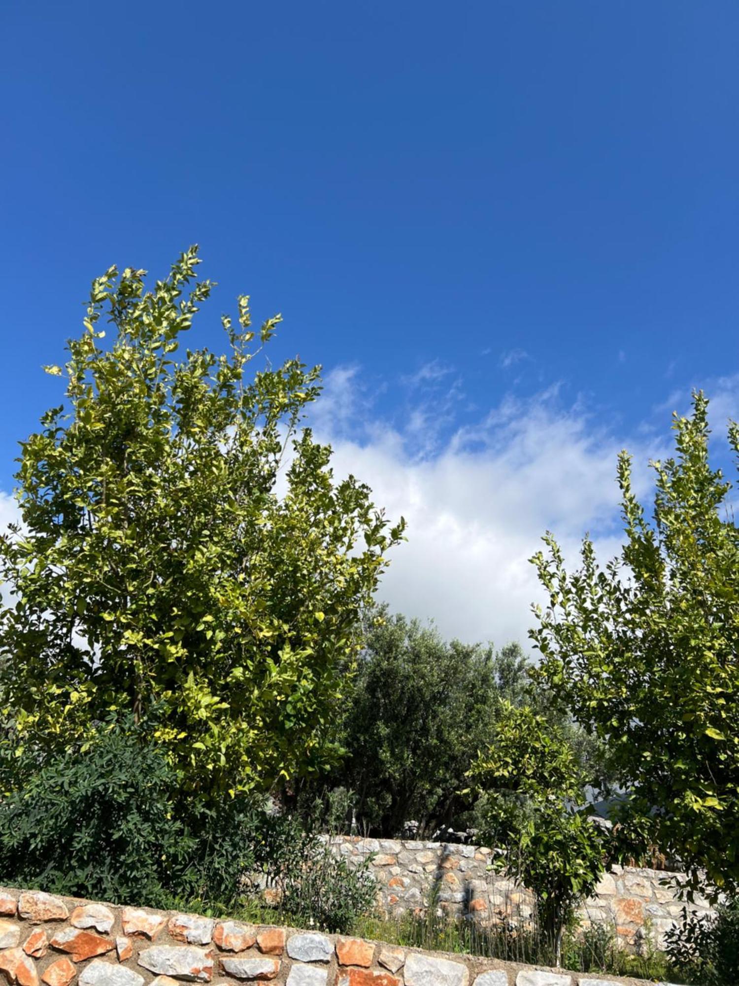 Koukouri Village Kafiona Exterior photo