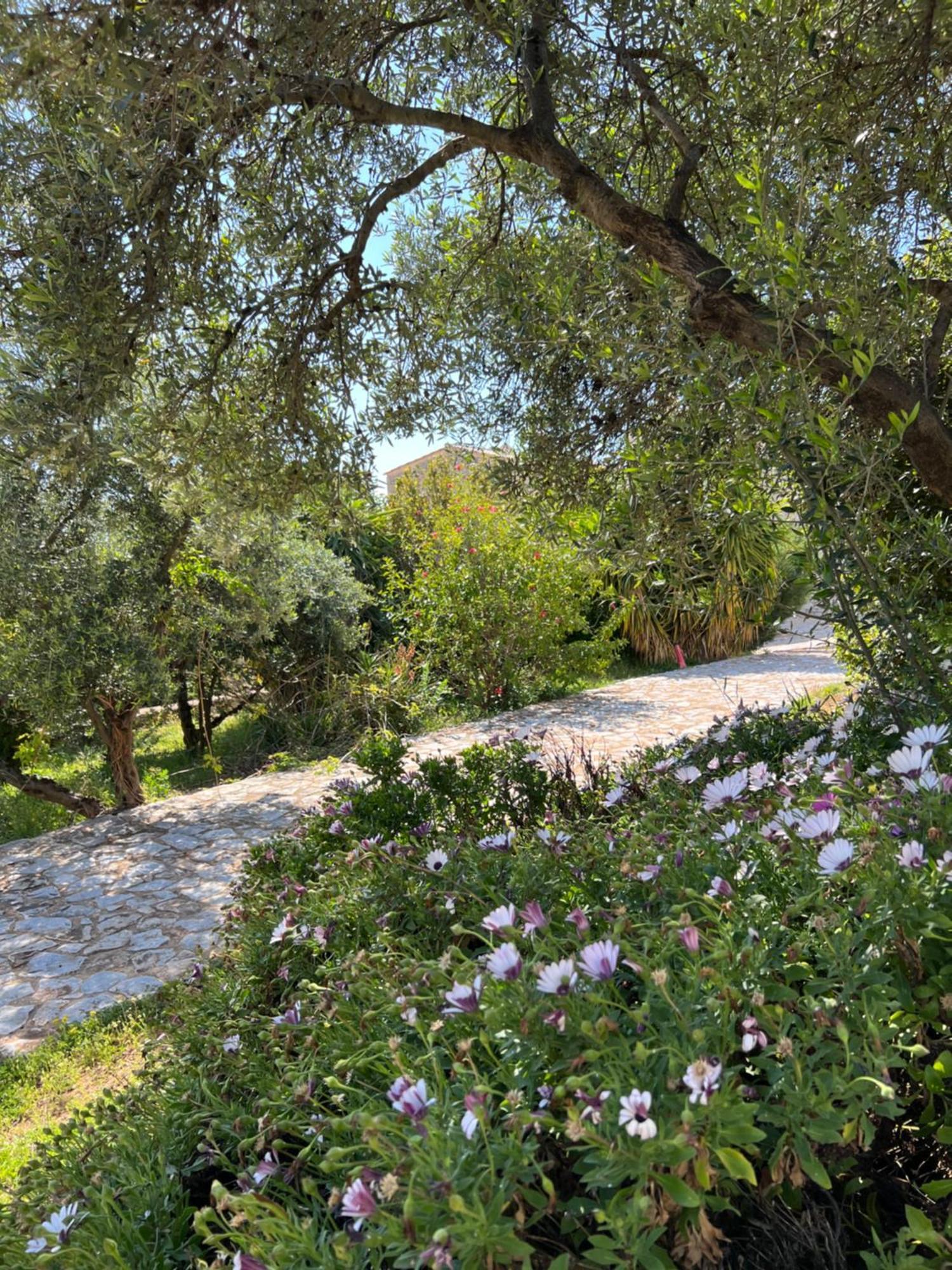 Koukouri Village Kafiona Exterior photo